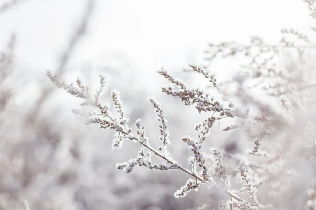 How Can Winter Affect My Garage Door?